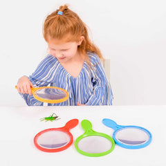 Large Hand Held Magnifiers (Set Of 12)-Classroom Packs,Early Science,EDUK8,Science,Science Activities-Learning SPACE
