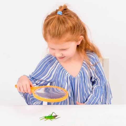 Large Hand Held Magnifiers (Set Of 12)-Classroom Packs,Early Science,EDUK8,Science,Science Activities-Learning SPACE