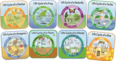 Life Cycles - Set of 8 Outdoor Signs, Learning SPACE