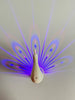 Lumina Peacock LED Projector Wall Light, Learning SPACE