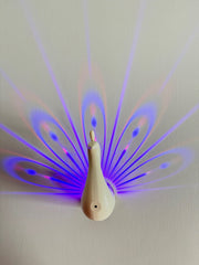 Lumina Peacock LED Projector Wall Light, Learning SPACE