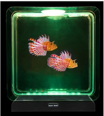 Lumina Square Light-Up Fish Tank - 2 Tropical Fish, Learning SPACE