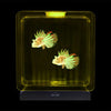 Lumina Square Light-Up Fish Tank - 2 Tropical Fish, Learning SPACE