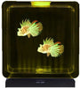 Lumina Square Light-Up Fish Tank - 2 Tropical Fish, Learning SPACE