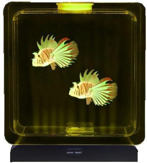 Lumina Square Light-Up Fish Tank - 2 Tropical Fish, Learning SPACE
