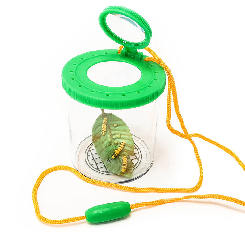Mini Beast Viewer, Learning SPACE
