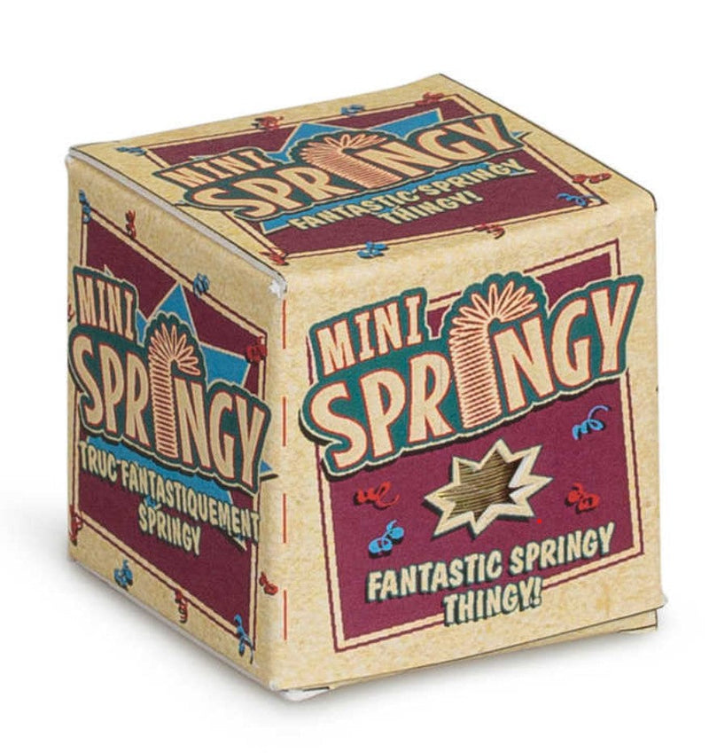 Mini Springy, Learning SPACE