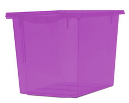 Monarch Trays Singular, Quad Violet Tint Learning SPACE