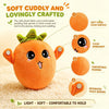Musical Plush Toy - Strawberry or Carrot, Learning SPACE