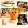 Musical Plush Toy - Strawberry or Carrot, Learning SPACE