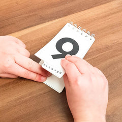 Numbers Up Flip Book, Learning SPACE
