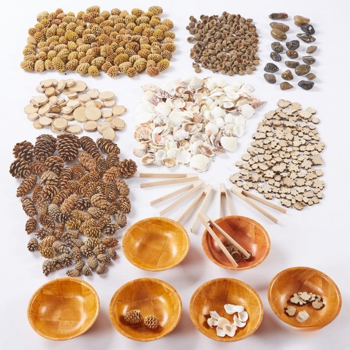 Natural Sorting Set, Learning SPACE
