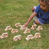 Natural Wooden Vehicles Set (12Pk), Learning SPACE