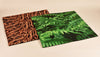 Nature Trail Padded Mats, Learning SPACE