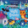 Night Sounds - Noisy Book, Learning SPACE