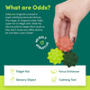 Odds Silicone Fidget Magnets, Sensory toy Learning SPACE