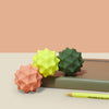 Odds Silicone Fidget Magnets, Sensory toy Learning SPACE