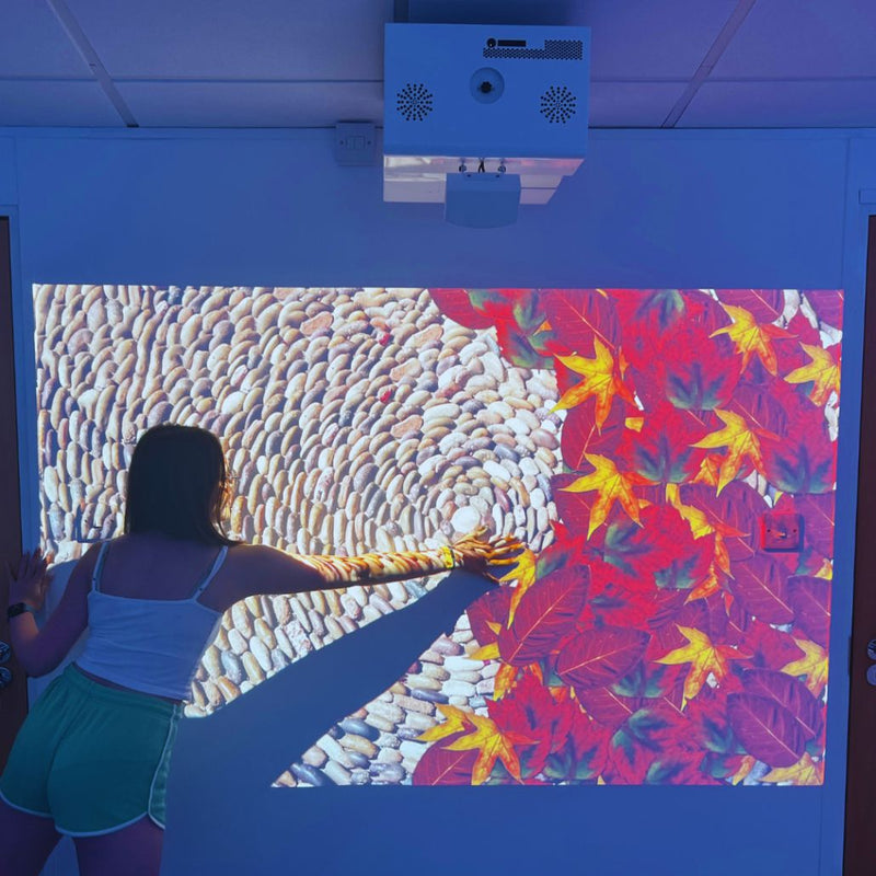 OmiWall: Touch Interactive Wall Projection, Learning SPACE
