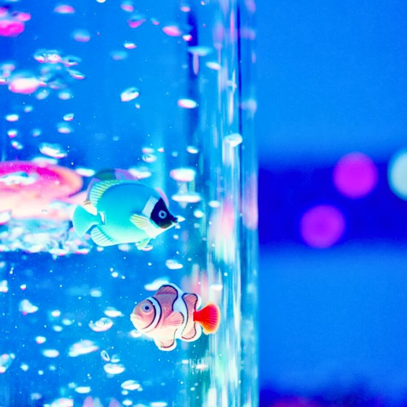 Bubble Tube 105 cm (with Fish & Balls), Learning SPACE