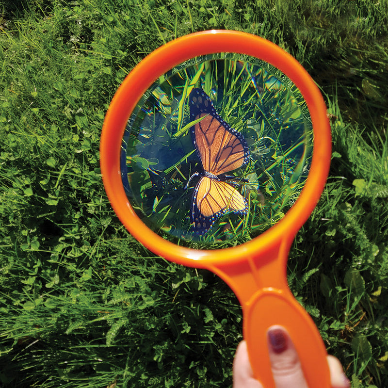 Plant And Bug Hunting Kit, Learning SPACE