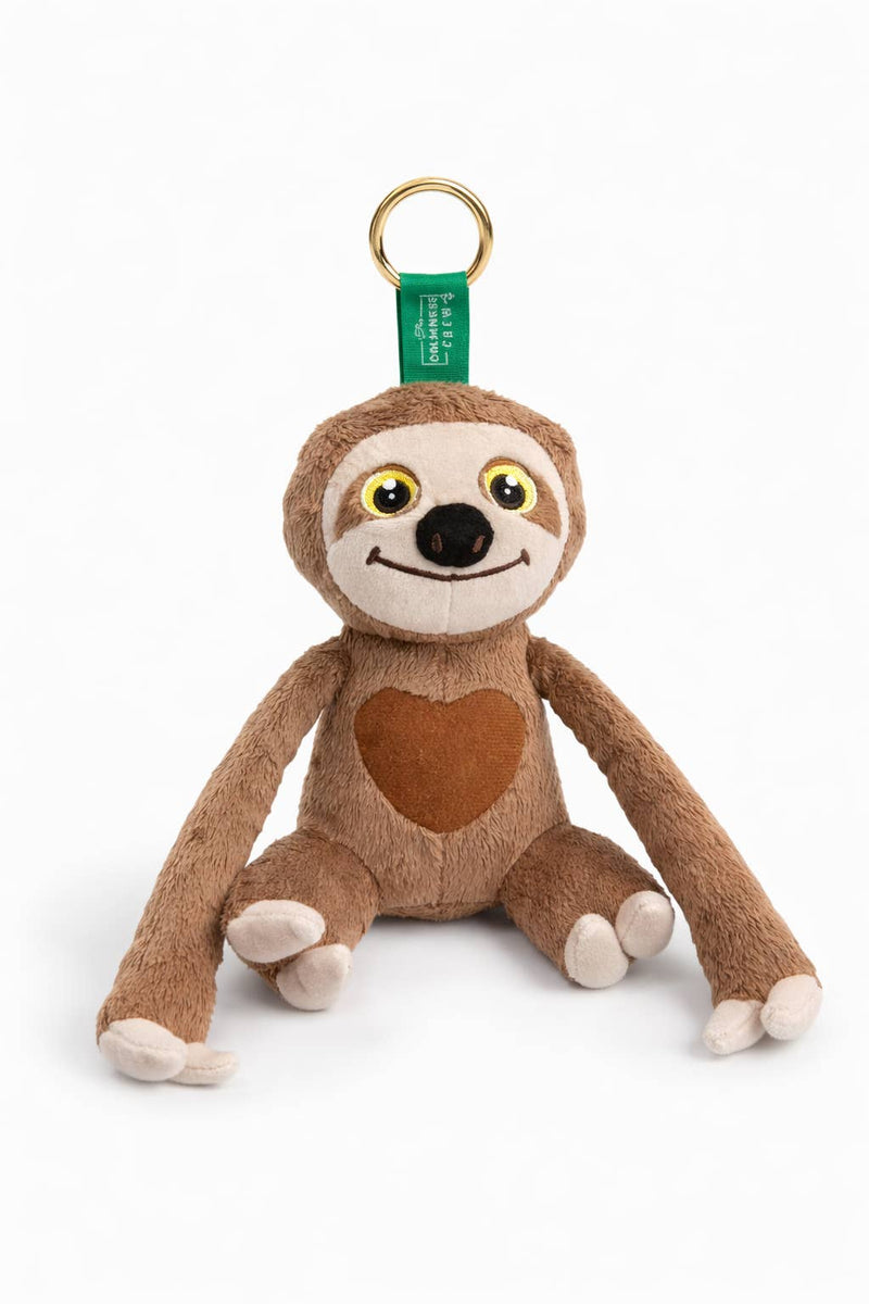 Positive Affirmations Sloth - Portable Talking Plushie, Stuffed Toys Learning SPACE