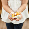 Rainbow Eco Play Naturals - Shells & Urchins, Learning SPACE
