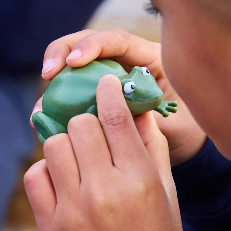 Recordable Terrific Talking Frogs 10pk, Talking Buttons Learning SPACE
