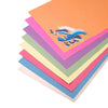 Richmond Vivid Sugar Paper 100gsm - A1-A4 (Pack of 250 Sheets), Learning SPACE