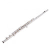 Rosedale Professional Flute, Solid Silver Headjoint, Musical Instruments Learning SPACE