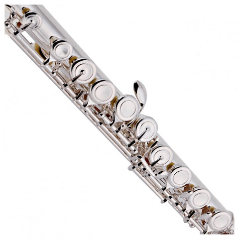 Rosedale Professional Flute, Solid Silver Headjoint, Musical Instruments Learning SPACE
