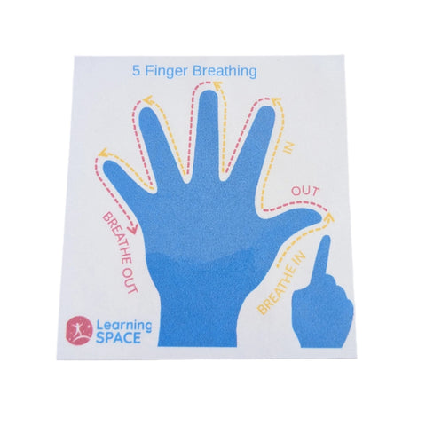 School to Home Anti Anxiety Kit - My Calm Pack-Back To School,Calming & Anxiety,Classroom Packs,excell2,Fidget,Fidget Sets,Stress Relief,Toys for Anxiety-Learning SPACE