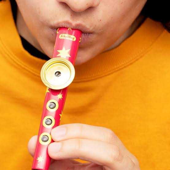 Schylling Kazoo - Musical Tin Toy, Learning SPACE