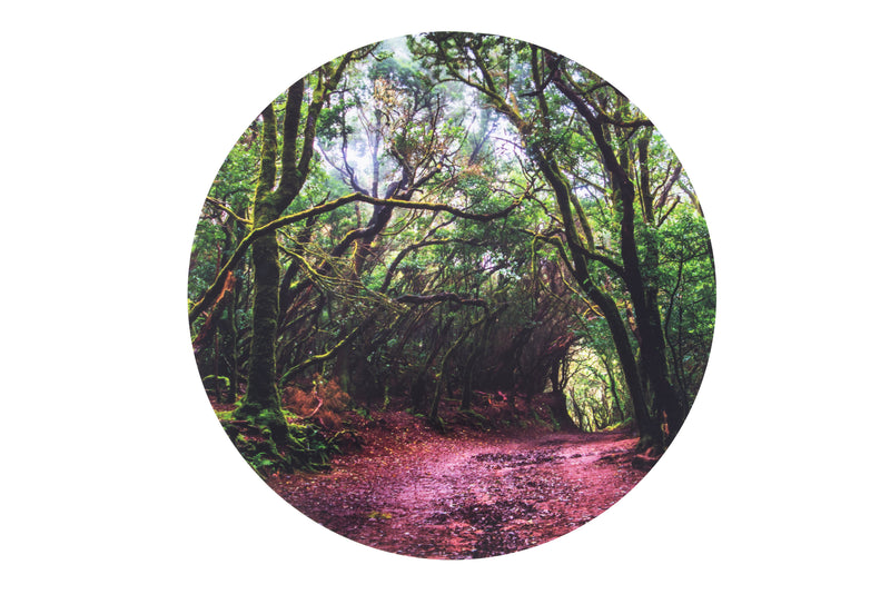 Sensory Mood Discovery Table + Forest Discovery Play Mat, Learning SPACE