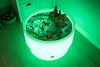 Sensory Mood Discovery Table + Forest Discovery Play Mat, Learning SPACE