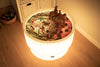 Sensory Mood Discovery Table + Forest Discovery Play Mat, Learning SPACE