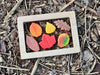 Sensory Play Stones – Leaves, Learning SPACE