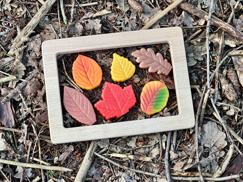 Sensory Play Stones – Leaves, Learning SPACE