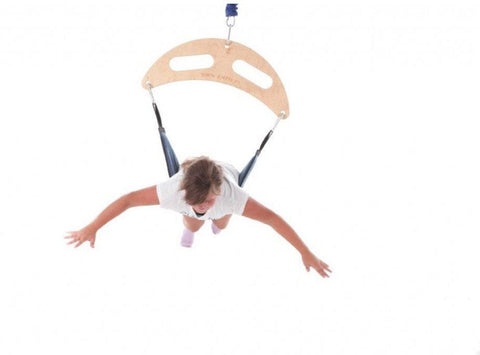 Sensory Therapeutic Frog Swing-Adapted Outdoor play,AllSensory,Gross Motor and Balance Skills,Indoor Swings,Outdoor Swings,Playlearn,Proprioceptive,Sensory Processing Disorder,Teen & Adult Swings,Vestibular-Learning SPACE
