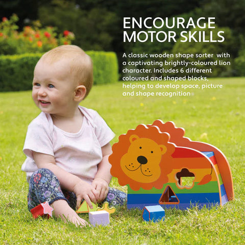 Shape Sorter Lion, Learning SPACE