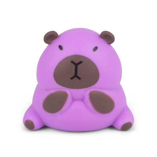 Stretchy Capybara Toy, Learning SPACE