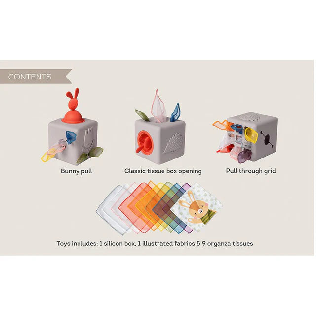 Taf Toys Pop-Up Tissue Box, Learning SPACE