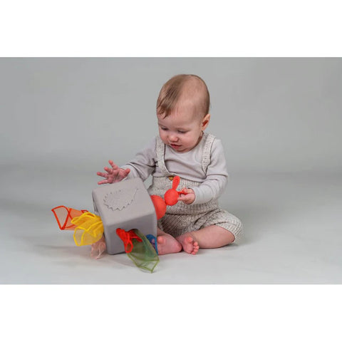 Taf Toys Pop-Up Tissue Box-Baby & Toddler Gifts,Baby Cause & Effect Toys,Baby Sensory Toys,Baby Toys,Calming & Anxiety,Games & Toys,Halilit Toys,Sensory Seeking,Visual Sensory Toys-Learning SPACE
