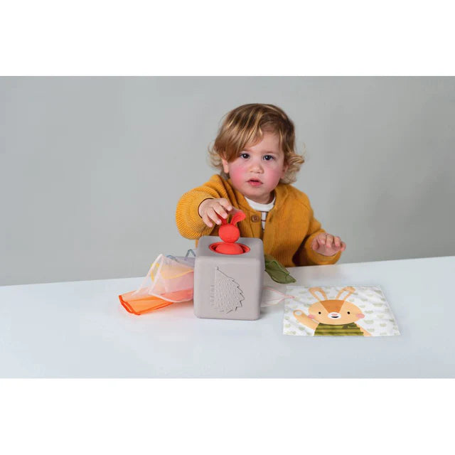 Taf Toys Pop-Up Tissue Box, Learning SPACE