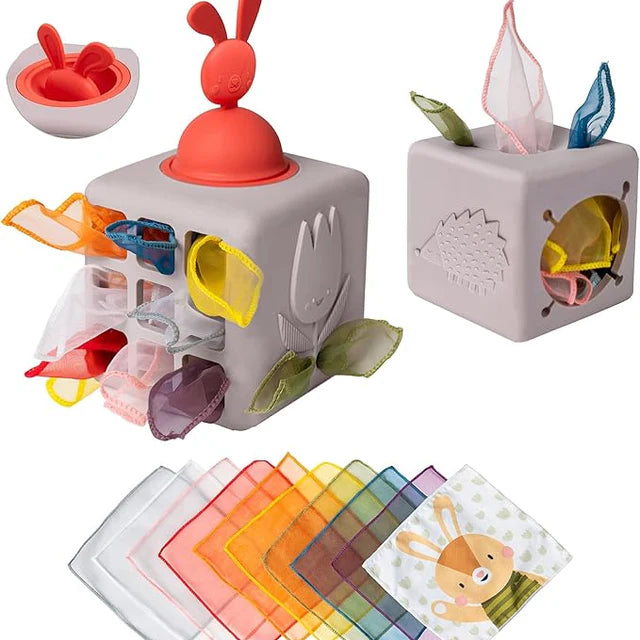 Taf Toys Pop-Up Tissue Box, Learning SPACE