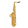 Tenor Saxophone, Musical Instruments Learning SPACE