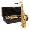 Tenor Saxophone, Musical Instruments Learning SPACE