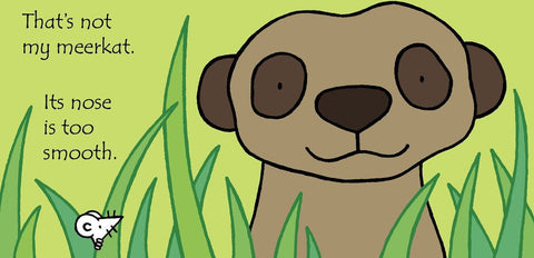 Thats not my Meerkat... Book, Learning SPACE