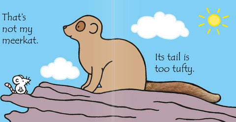 Thats not my Meerkat... Book, Learning SPACE