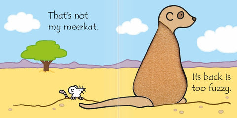 Thats not my Meerkat... Book, Learning SPACE