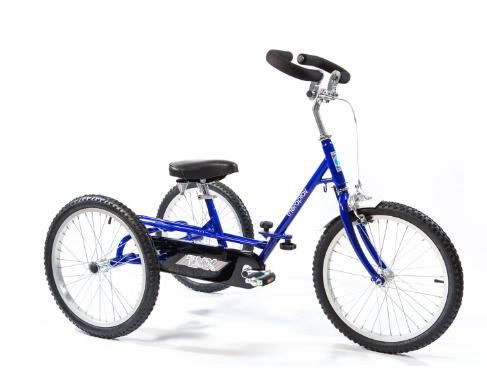 Theraplay Trike - Completely Bespoke, Ride-ons Toys Learning SPACE
